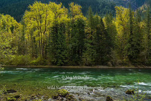Pacific Northwest Beauty 31