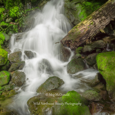 Pacific Northwest Beauty 69