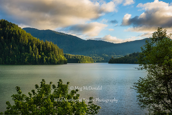 Pacific Northwest Beauty 57
