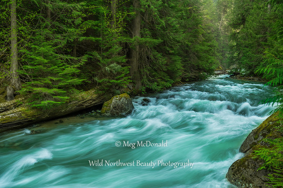 Pacific Northwest Beauty 51