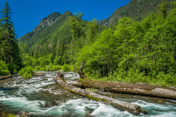 Pacific Northwest Beauty 20