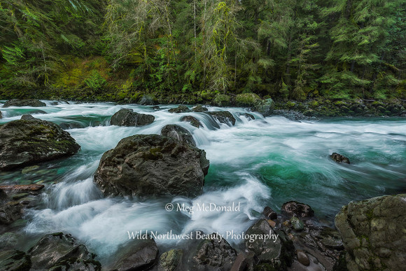 Pacific Northwest Beauty 23