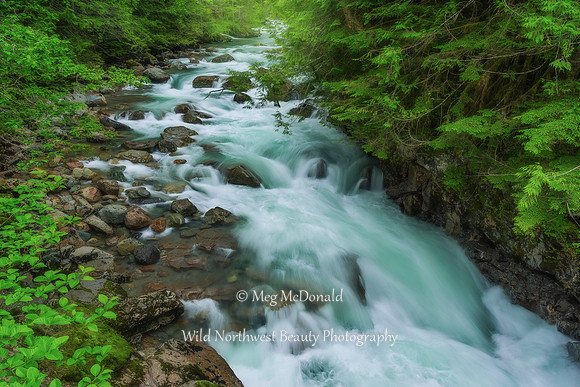 Pacific Northwest Beauty 54