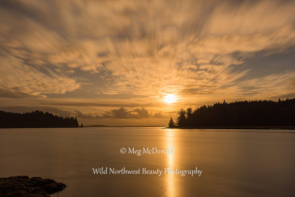 Pacific Northwest Beauty 61