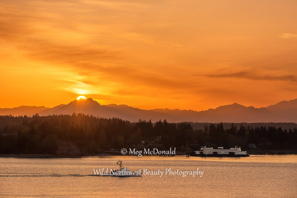 Pacific Northwest Beauty 19