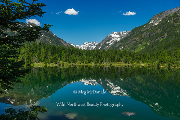 Pacific Northwest Beauty 65