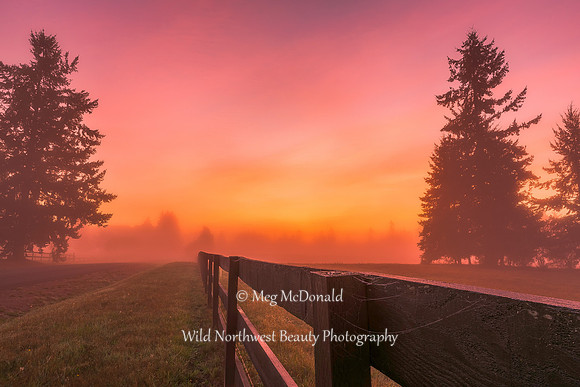 Pacific Northwest Beauty 46