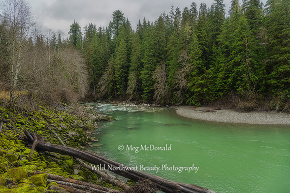 Pacific Northwest Beauty 47