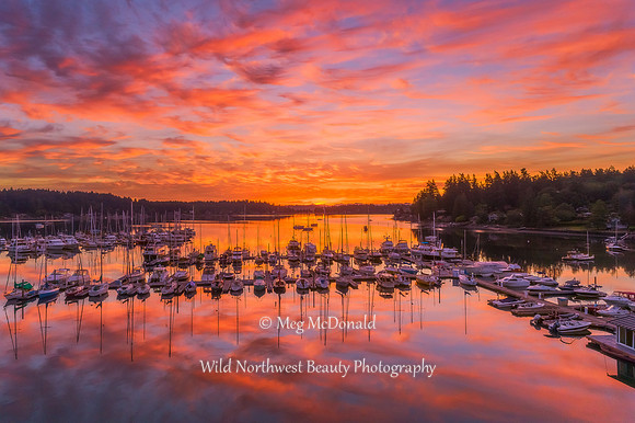 Pacific Northwest Beauty 49