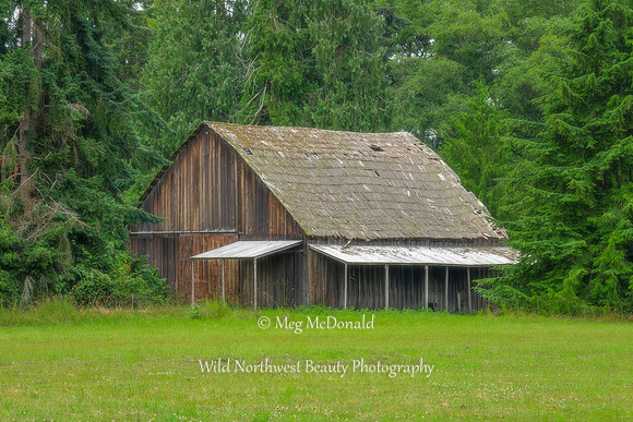 Pacific Northwest Beauty