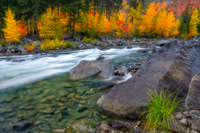 Wild Northwest Fall Color 21