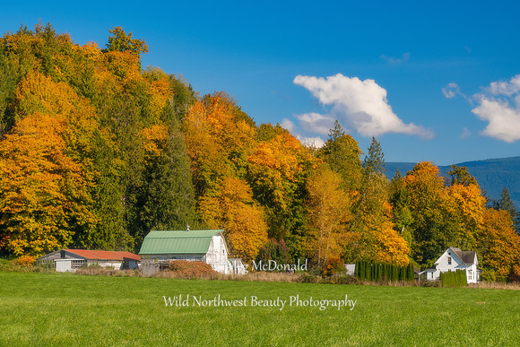 Pacific Northwest Beauty 59