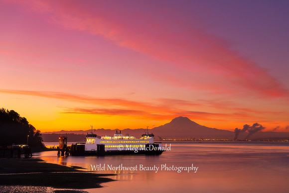Pacific Northwest Beauty 60