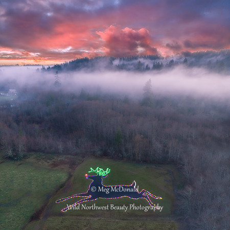 Pacific Northwest Beauty 37