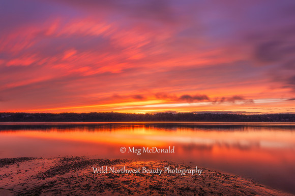 Pacific Northwest Beauty 64