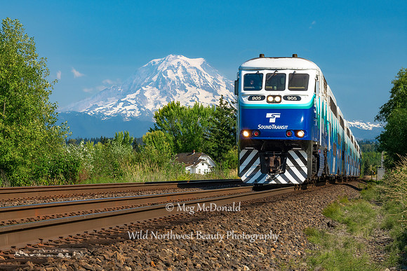 Pacific Northwest Beauty 68