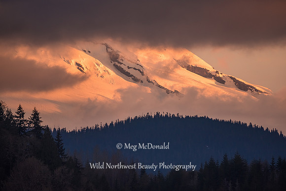 Pacific Northwest Beauty 10