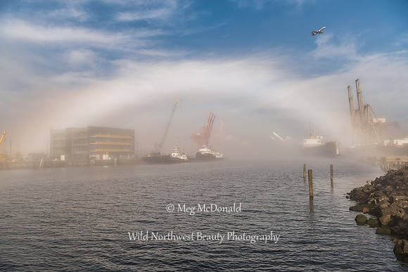 Pacific Northwest Beauty 37